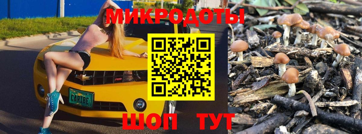 Галлюциногенные грибы Psilocybine cubensis Балашиха