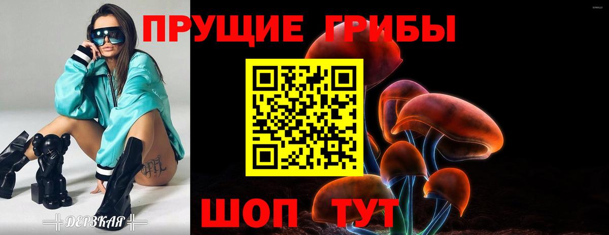 Псилоцибиновые грибы прущие грибы  Псилоцибиновые грибы Cubensis  Балашиха  Вход с VPN 